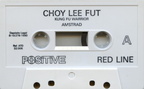 Choy-Lee-Fut-Kung-Fu-Warrior-01