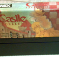 Castle-Excellent--Japan-