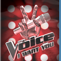 Voice--The---I-Want-You--USA-