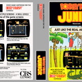 Donkey-Kong-Junior