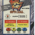 fatal fury special