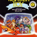 Wonder-Boy--1987--Activision--48-128k-