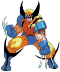 wolverine