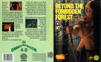 Beyond-the-Forbidden-Forest