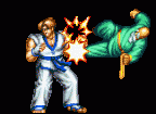 fatalfuryspecial9