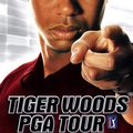0020-Tiger Wood PGA Tour USA PSP-NONEEDPDX