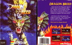 DragonBreed