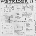 StriderII