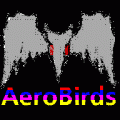 AeroBirds
