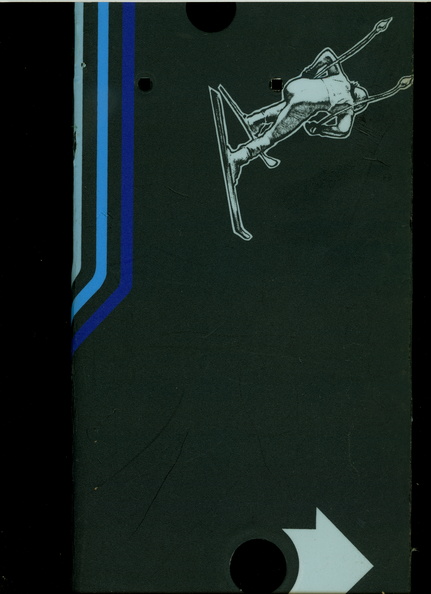 Alpine-Ski-CPO-5_psd.jpg