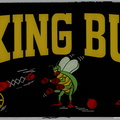 Boxing-Bugs-marquee tif