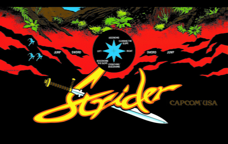Strider-cpo.pdf.jpg