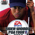 Tiger-Woods-PGA-Tour-2004